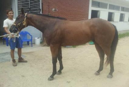 ��ũ��Ʈ����Ʈ ����