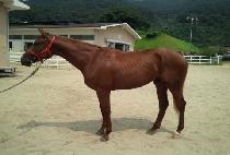 �������� (WONIL JIJON) ����