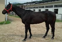 �������� (JEONGSANG JEAP) ����