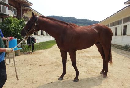 ��������� ����