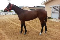 APPLE OF EYE picture