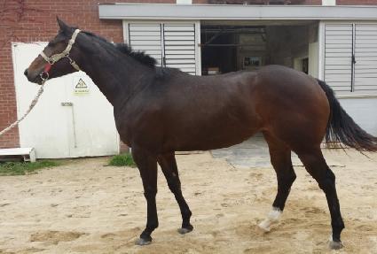 �������� ����