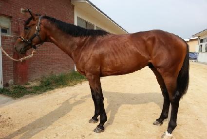 �ڼ��� ����