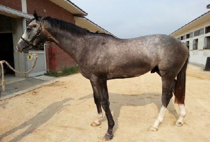 �����伭�ǹ� ����