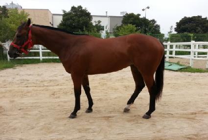 �����ǹ� ����