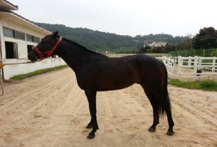 ��ħ���� ����