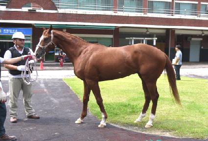 ŷ���� ����