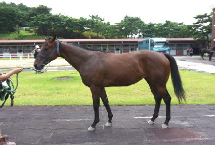 ���ǿ��� ����