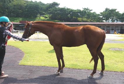 õ�� ����