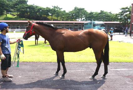 ��ž ����