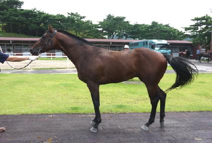 ���ڽ�ŷ ����