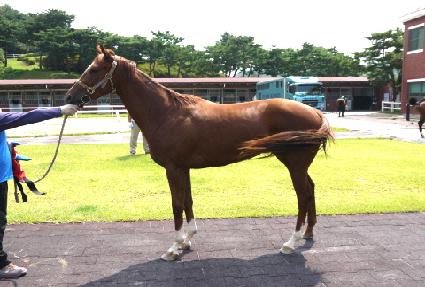 ������� ����