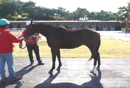 ���巡�� ����