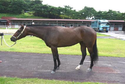 ������ ����