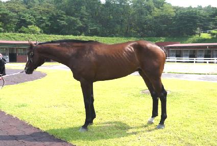 õ�� ����