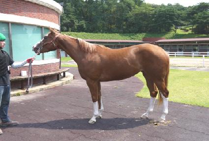 ���ں����� ����