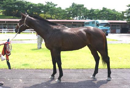 ��Ʈ���� ����