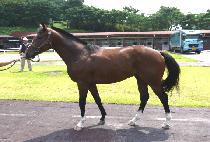 Ȧ��������ġ (Holiday Punch) ����