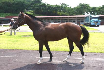 Ȧ��������ġ ����