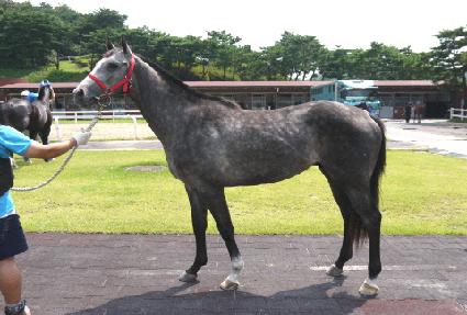 ž���� ����