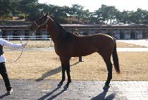 ī�������� (KAIZEN WAY) ����