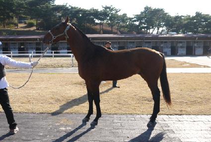 ī�������� ����