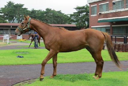 ��� ����