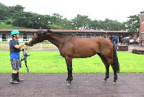 � (UNMU) ����