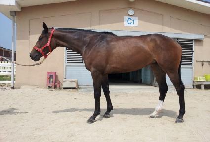 �������ǿ��� ����