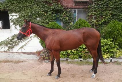 �ھƶ� ����