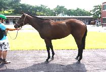 �ͽ�Ŭ��ú����� (EXCLUSIVELY MADE) ����