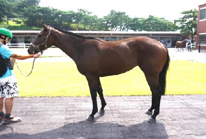 �ͽ�Ŭ��ú����� ����