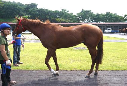 ���̷� ����