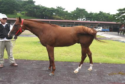 �ѶǺ��� ����