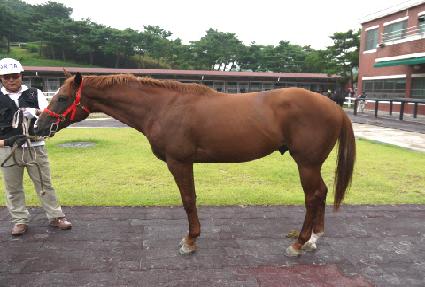 �ν���ű ����