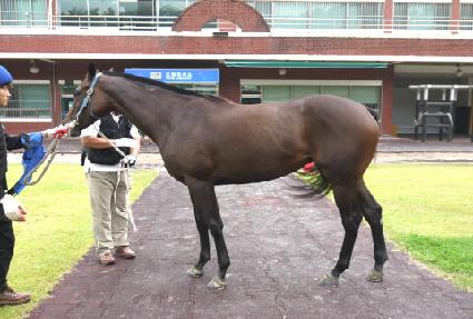 �������̼� ����