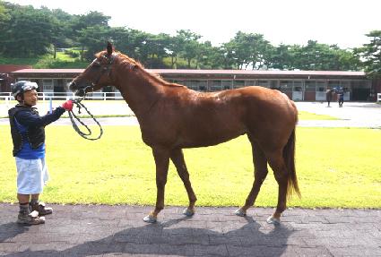 �������� ����