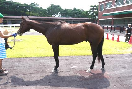 ����ī�� ����