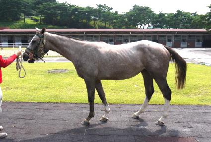 ������ ����