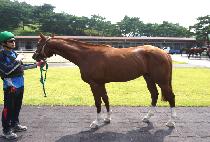 Ƽ������ (TINA BROTHER) ����