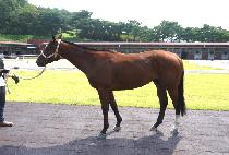 ����ȣ (SAEGANGHO) ����