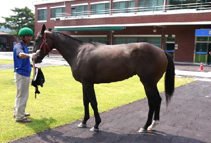 �����ִϾ� ����