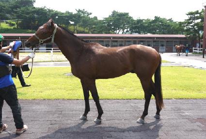 ŷ���귰 ����