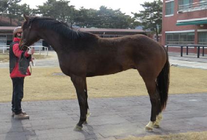 �������� ����