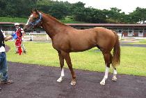 Ŭ�������� (CLEAN UP JOY) ����