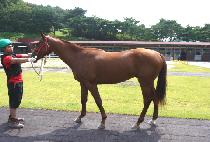 ���ξ˷��� (YEONGIN ALEX) ����