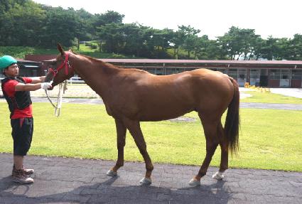 ���ξ˷��� ����