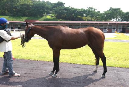 ��������Ÿ ����