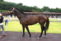 Ŭ����õ�� (CLEAN UP CHEONHA) ����