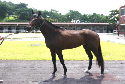 ���������� ����